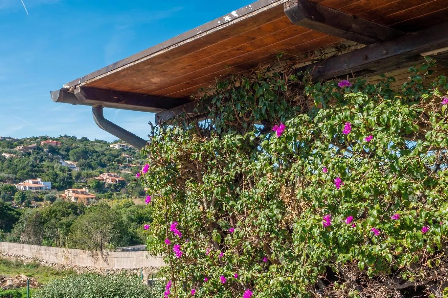 Ginepri Apartamento San Teodoro